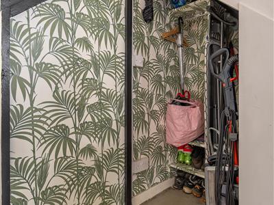 Picture 18